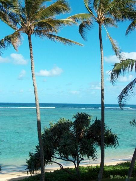 Stunning Ocean Views Condos In Oahu At Punaluu Hau'ula Exterior foto